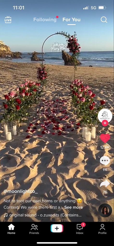 Marry Me Set Up, Engagement Set Up Ideas Beach, Arch Proposal Ideas, Proposal Arch Ideas, Flower Proposal Ideas, Will U Marry Me Proposals, Floral Proposal Ideas, Marry Me Picnic Proposal, Garden Proposal Ideas