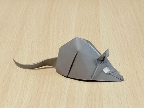 Mouse, designed and folded by kosuke nakamura (source: ) #origami #mouse Origami Animals, Origami Crafts, Simple Shapes, Origami, Animals, Design