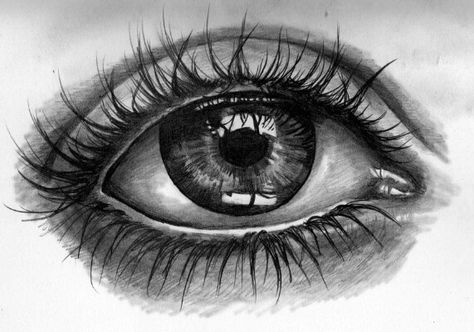 Eye tumblr Ojo Tattoo, Realistic Eye Tattoo, Justin Bieber Tattoos, Eyeball Art, Eyes Artwork, Eye Sketch, Realistic Eye, Tattoo Desings, Wolf Tattoos