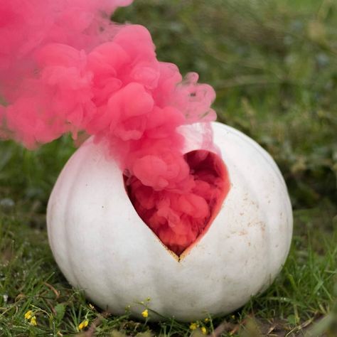 Dry Ice Gender Reveal, Fall Gender Reveal Ideas, Gender Reveal Photoshoot, Reveal Photoshoot, Gender Reveal Party Food, Halloween Gender Reveal, Gender Reveal Photos, Gender Reveal Party Theme, Gender Reveal Ideas