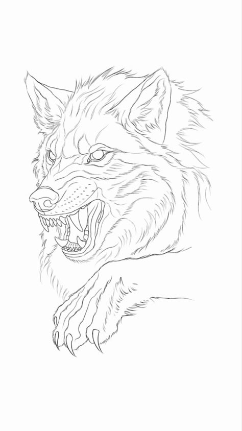 Wolf Tattoo Template, Animal Tattoo Sketch, Snarling Wolf Drawing, Wolf Dragon Tattoo, Wolves Tattoo Design, Angry Wolf Drawing, Wolf Head Outline, Howling Wolf Tattoo Design, Wolf Tattoo Outline