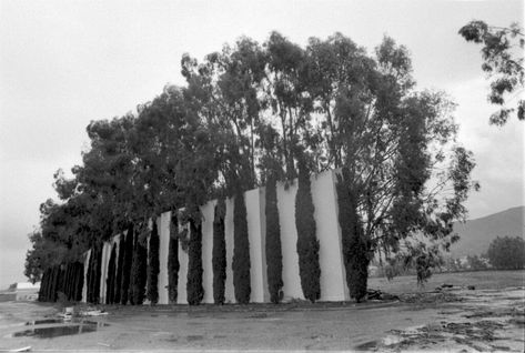 https://flic.kr/p/KyWTbi | Old Drive-In, Newbury Park | Views of the old drive-in theater, which were used in an article on talks underway to develop a cineplex on the old site.  News Chronicle Collection, photographer unknown.  01-01-1987_2, CTO_291.    We're happy to share this digital image on Flickr. Please note that this is a copyrighted image. For information regarding obtaining a reproduction of this image, please contact the Special Collections Librarian of the Thousand Oaks Library at s Newbury Park, California History, Drive In Theater, Simi Valley, Ventura County, Thousand Oaks, Local History, An Article, Drive In