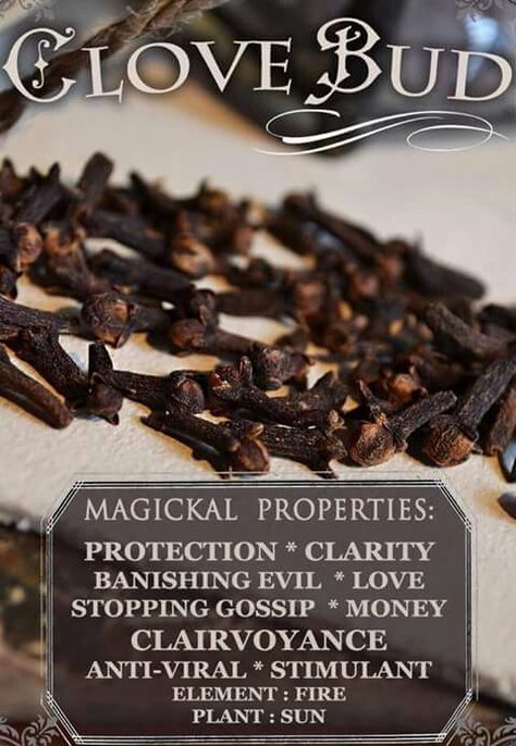 Whole cloves Magickal Herbs, Witch Herbs, Magia Das Ervas, Magic Herbs, Kitchen Witchery, Clove Bud, Magical Herbs, Herbal Magic, White Witch