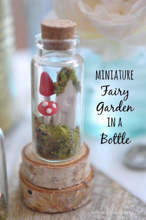 Garden In A Bottle, Table Garden, Diy Crafts For Teens, Garden Door, Tiny Jars, Miniature Fairy Garden, Mini Glass Bottles, Clay Fairies, Bottle Garden