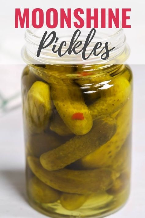 Moonshine pickles are a tangy, crunch, boozy surprise that is the perfect accompaniment to any party. Great for game day, bachelor parties or to up your barbeque game. Gherkin Pickles, Easy Pickling Recipes, Pickles Recipe, Moonshine Recipes, Kitchen Guide, Bachelor Parties, Stale Bread, Cold Appetizers, Tomato And Cheese