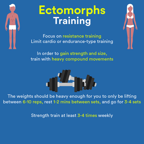 Ectomorph Diet Plan, Ectomorph Workout For Women, Ectomorph Women Workout, Ectomorph Women, Ectomorph Diet, Weight Lifting Schedule, Ectomorph Body, Endomorph Diet Plan, Body Type Workout