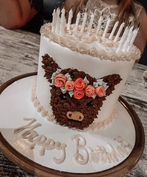 Sweet 16 Party Ideas Cow Print, Birthday Cake Ideas Western, Simple Western Cakes Birthday, Simple Country Birthday Cakes, Highland Cow Buttercream Cake, Fluffy Cow Birthday Cake, Highland Cow 1st Birthday Party, Highland Cow Sheet Cake, Western Cakes Birthday For Women