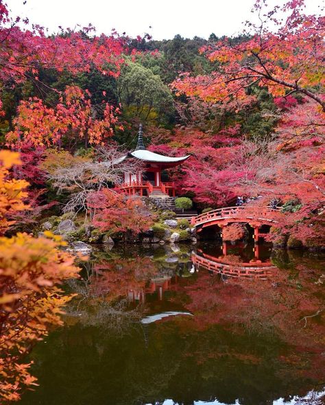 Kyoto Golden Temple, Kyoto In Autumn, Japan November, Japan In The Fall, Japan September, Kyoto Spring, Kyoto Autumn, Japan October, Japanese Autumn