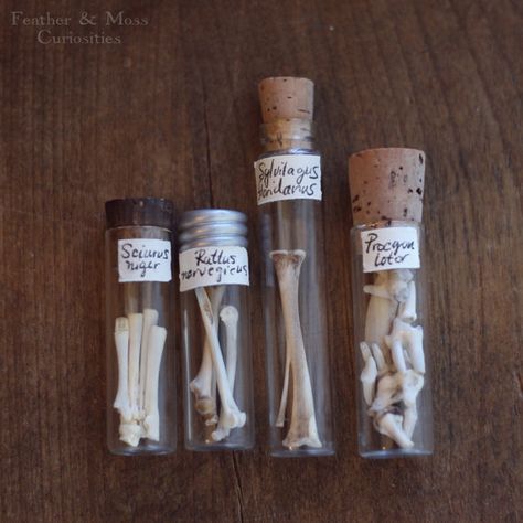 Grave Cleric, Raccoon Teeth, Dark Nautical Aesthetic, Dark Nautical, Leg Bones, Halloween Potions, Bone Crafts, Vulture Culture, Bone Art