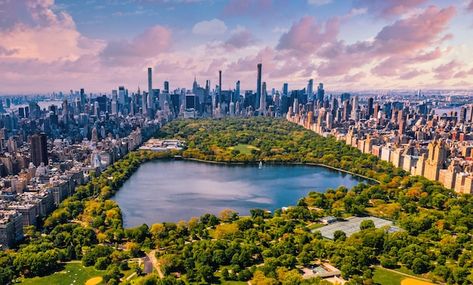 Central park in manhattan, new york, a h... | Free Photo #Freepik #freephoto #central-park #manhattan #new-york #nyc New York Trip, New York City Guide, New York Summer, Voyage New York, Central Park Nyc, Park In New York, New York Central, Greenwich Village, Beautiful Park