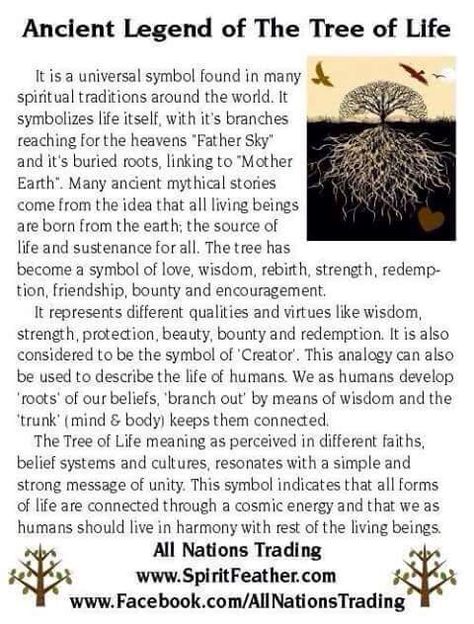 Tree of life: A replica of the tree of life is found on every placenta of every human ever born. Yggdrasil Meaning, Celtic Symbolism, Success Journal, Tree Meanings, Tree Of Life Meaning, Elder Tree, Sweat Lodge, Tattoo Tree, Rowan Tree