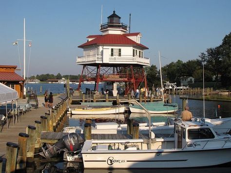 Marine Museum, Southern Maryland, Research Center, Chesapeake Bay, Ocean City, Best Places To Visit, Weekend Getaway, Field Trip, Outdoor Fun