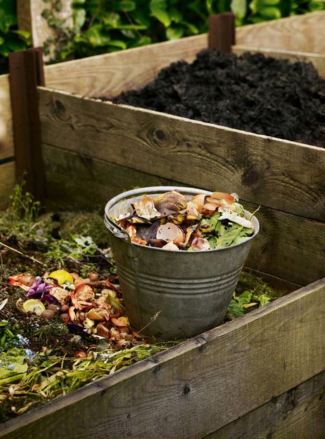 Compost Heap, Make Compost, How To Compost, Flower Farming, How To Make Compost, Compost Soil, Composting At Home, Fruit And Vegetable Storage, Organic Compost