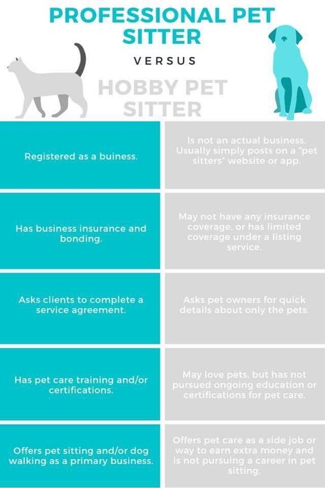 Pet Sitting Contract, Pet Services Business, Pet First Aid, Pet Care Business, Pet Services, Pet Sitting Services, Dog Business, Lost Pets, Pet Care Tips