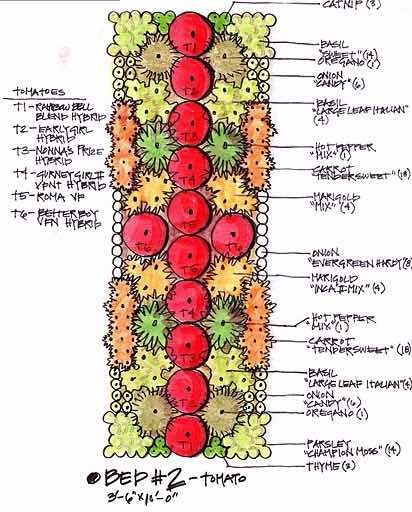 Biointensive Gardening Plan, Berry Garden Design, Biointensive Gardening, California Gardening, Veggies Garden, Permaculture Garden, Companion Gardening, Tattoo Plant, Growing Tomatoes In Containers