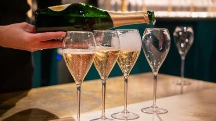 Liquor Industry NewsThe Wonderful World of Wine (WWW) Liquor Industry NewsThe Wonderful World of Wine (WWW) Expensive Champagne, Cheap Champagne, Sparkling Red Wine, Grape Uses, Types Of Glassware, Champagne Region, Fruity Desserts, Sweet Wine, Tasting Table