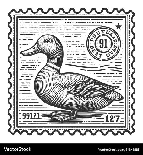 Stamps Drawing Postage, Postage Stamp Drawing, Stamps Drawing, Drawing Of A Duck, Stamp Drawing, Vintage Postage Stamps, Vintage Postage, A Duck, White Image