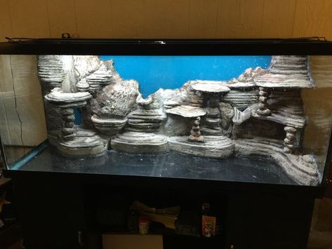 120 Gallon Aquarium, 3d Aquarium Background, Fish Tank Themes, Amazing Aquariums, Diy Aquarium, Aquarium Setup, Nature Aquarium, Aquascape Aquarium, Turtle Tank