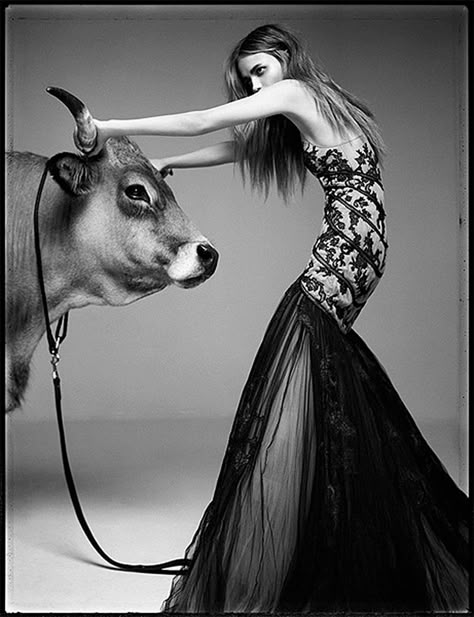 French Vogue - Little plastic horses Edita Vilkeviciute, Mario Sorrenti, French Vogue, Natasha Poly, Paolo Roversi, Ellen Von Unwerth, Patrick Demarchelier, Terry Richardson, Tim Walker