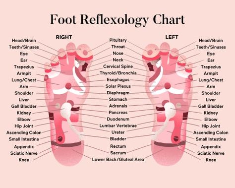 Foot Pressure Points, Foot Reflexology Chart, Reflexology Pressure Points, Reflexology Foot Chart, Foot Reflexology Massage, Reflexology Chart, Reflexology Massage, Foot Reflexology, Muscle Anatomy