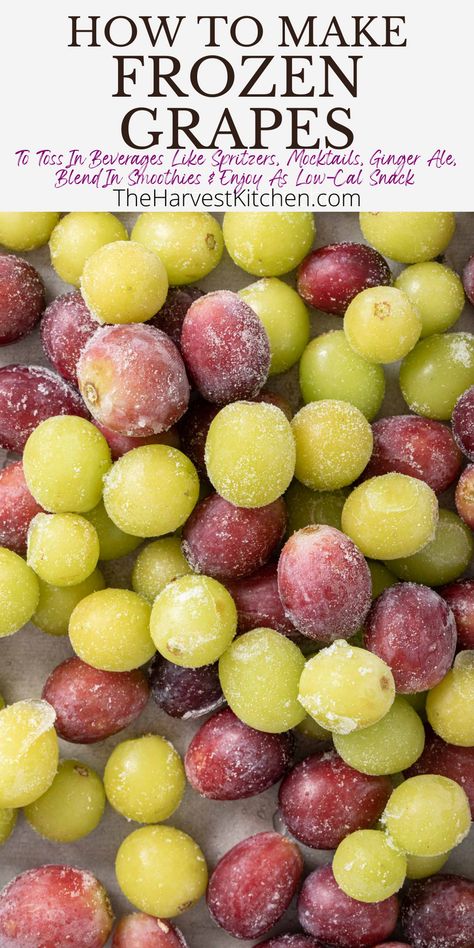 Frozen grapes are quick and easy to make, and so pretty to add to your summer drinks. Just drop a few into your glass to keep your beverages chilled. Learn How to Freeze Grapes with this easy recipe to add to sparkling water, spritzers, Ginger Ale, mocktails, smoothies and more. How To Freeze Grapes, How To Make Frozen Grapes, Freezing Grapes, Frozen Grapes Recipe, Freeze Grapes, Plant Based Clean Eating, Fruit Prep, Autoimmune Diet Recipes, Low Cal Snacks