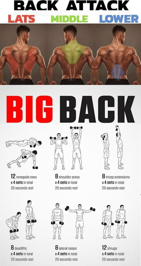 Wings Workout, Back Workout Men, Exercises For Men, Home Workout Men, Latihan Dada, Shoulder Exercises, Gym Antrenmanları, Dumbell Workout, Gym Workout Chart