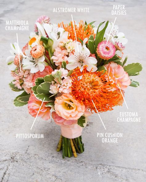 Floral Bouquet Recipes by Colour centres de tables September Wedding Bouquets Simple, Bouquet Reference, Bouquet Recipes, Coral Bouquet, Flower Recipe, Pincushion Flower, Bouquet Recipe, Traditional Flowers, Orange Bouquets