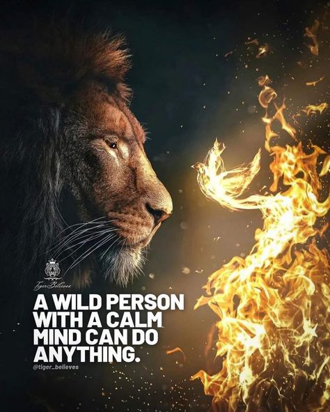 Lion Motivation, Fighter Quotes, Male Angels, Leo Zodiac Quotes, Success Pictures, Lion Quotes, Motivational Lines, Calm Mind, Lion Images