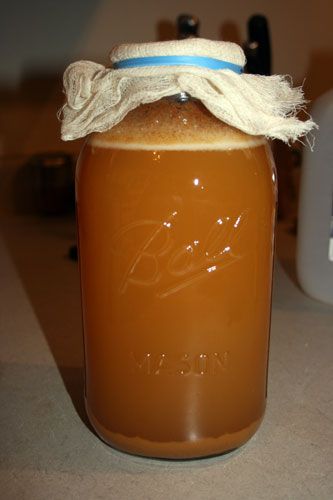 Hard Apple Cider Recipe, Mead Recipes, Fresh Apple Juice, Hard Cider Recipe, Backyard Homesteading, Fermented Foods Benefits, Pear Cider, Hard Apple Cider, Apple Cider Recipe