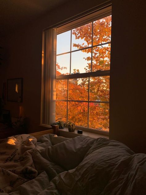 Cozy Astetic, Cosy Fall Aesthetic, Comfy Fall Aesthetic, Beach Aesthetic Room, Crow Core, Fall Room Aesthetic, Cozy Core, Cosy Fall, Widget Board