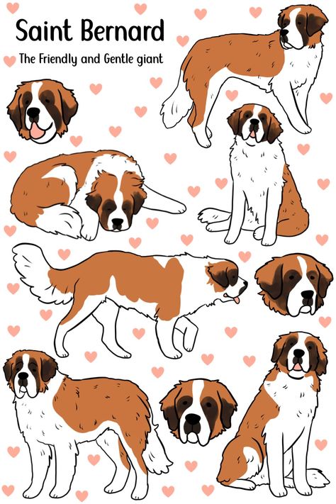 Saint Bernard Drawing Cartoon, Saint Bernard Sketch, St Bernard Illustration, How To Draw A Saint Bernard, Saint Bernard Fursona, Dog Saint Bernard, Cartoon Bernese Mountain Dog, Saint Bernard Illustration, Saint Bernard Tattoo Ideas