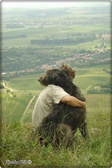 Irish Wolfhound Dogs, Expression Photography, Wolfhound Dog, In A Perfect World, Scottish Deerhound, Irish Wolfhounds, Irish Wolfhound, Perfect World, Samhain