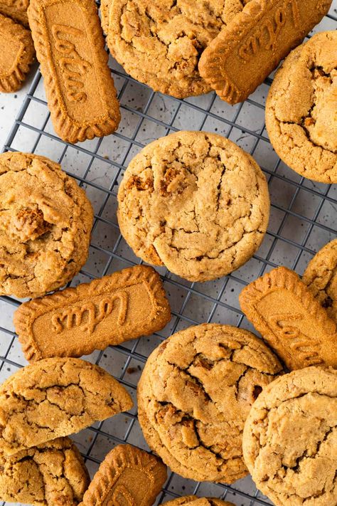 Chewy Biscoff Cookie Butter Cookies Recipe  – Sugary Logic Cookie Butter Cookies Recipe, Cookie Butter Cookies, Buttery Cookie, Biscoff Recipes, Biscoff Cookie Butter, Biscoff Spread, Biscoff Cookies, Frozen Cookies, Cookie Spread