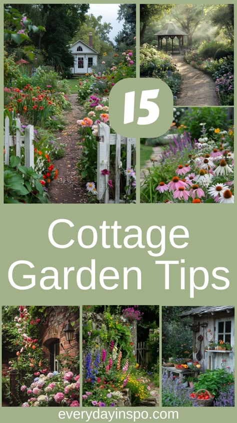 Use these 15 tips to see how to design and plant the perfect cottage garden. Includes tips on garden decor and planting schemes to complement them. Front Garden Cottage Style, How To Plant A Cottage Garden, Cottage Garden Flower Beds, How To Start A Cottage Garden, Cottage Garden Trees, Garden Plans Layout Perennial Full Sun, Low Maintenance Cottage Garden, Plant Groupings Landscape Design, English Gardens Landscape