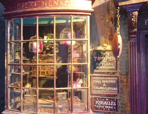 Diagon Alley shop window Ally Aesthetic, Harry Potter In London, Diagon Alley Shops, Magical Menagerie, Harry Potter London, Harry Potter Food, Harry Potter Shirts, Harry Potter Halloween, Harry Potter Decor