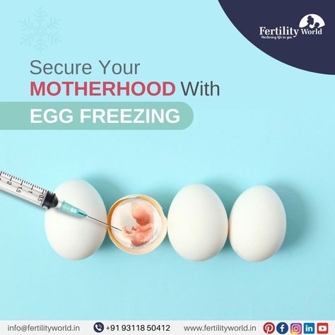 Egg Freezing Egg Freezing Fertility, Leftover Milk, Egg Freezing, Ivf Success Rates, Freezing Eggs, Fertility Testing, Fertility Doctor, Ivf Clinic, Fertility Diet