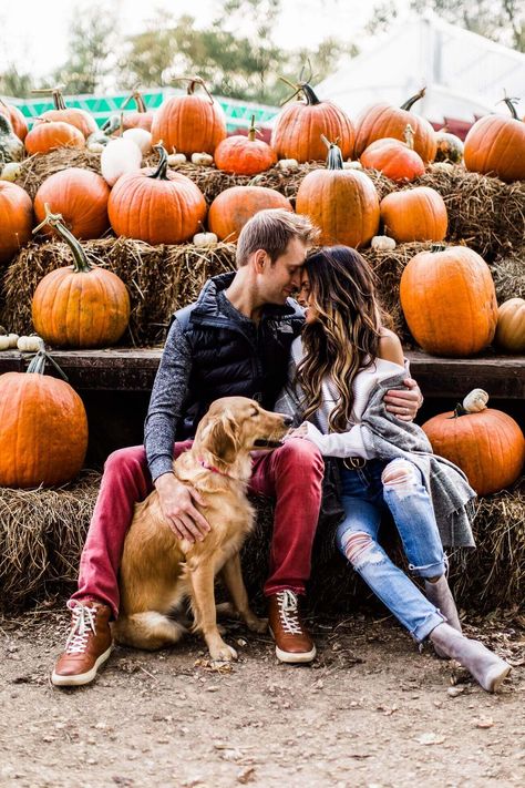 fashion blogger mia mia mine at a pumpkin patch with her husband phil and golden retriever Pumpkin Patch Photography, Fall Couple Pictures, Pumpkin Patch Photoshoot, Fall Couple Photos, Pumpkin Patch Pictures, Mia Mia Mine, Dog Pumpkin, Mia Mia, Photos With Dog