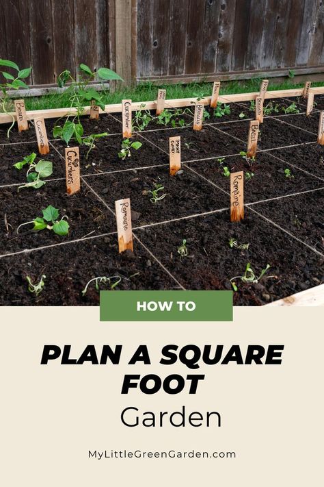 How To Plan a Square Foot Garden Raised Garden Beds 4x4, Vegetable Raised Beds Layout, Square Ft Gardening Layout, Small Garden Plots Layout, Small Garden Beds Ideas, Raised Garden Beds Planting Guide, Raised Garden Bed Size, 4x4 Raised Garden Bed Plan, 4x12 Garden Layout