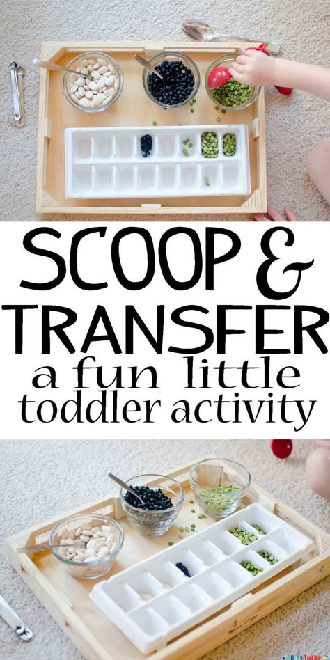 SCOOP AND TRANSFER: A simple toddler activity that's fun to play Montessori For Kindergarten Ideas, Scoop And Transfer Activity, Montessori Activities Practical Life, Fall Montessori Shelf Work, Letter A Montessori Activities, Activity For 19 Month Old, 4 Year Montessori Activities, Diy Montessori Toys 2-3, Young Toddler Crafts