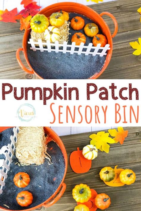 Pumpkin Sensory Bin: Picking, Counting and Exploring Pumpkin Sensory Bin, Pumpkin Sensory, Pumpkin Crafts Preschool, Pumpkin Patch Kids, Fall Sensory Bin, Fall Activities For Toddlers, Five Little Pumpkins, Parenting Blogs, Pumpkin Books