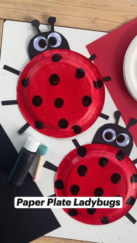 Insect Crafts For Kids, Bug Activities, Insects Preschool, Bugs Preschool, Insect Crafts, Spider Crafts, Ladybug Crafts, Ladybug Art, Bug Crafts