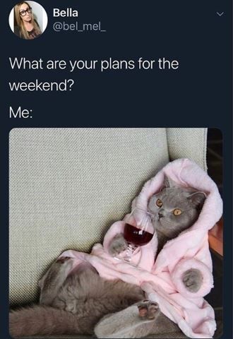 Relaxing Meme Funny, Weekend Memes Funny Hilarious, Friday Night Memes Humor, Friday Night Humor Staying In On A, Weekend Mood Funny, Friday Night Meme Funny, Weekend Humor Hilarious, Funny Weekend Quotes Hilarious, Weekend Memes Funny