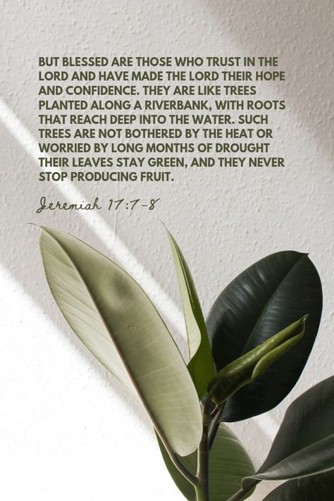 Jeremiah 17 7-8 Scriptures, Jeremiah 17 5-8, Jeremiah 17 7-8 Wallpaper, Jeremiah 17 7-8, Jeremiah Scripture, Aesthetic Scripture, Jeremiah 17:14, Jeremiah 17 7, Life Verse