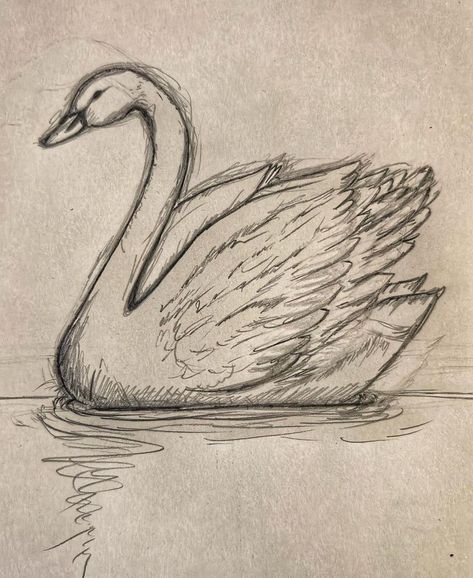 Easy Nature Sketches For Beginners, Random Art Aesthetic Sketch, Cute Sketches Animals, How To Draw A Swan Step By Step, Swan Sketch Pencil, East Sketch Ideas, How To Draw Swan, Two Swans Drawing, Cute Random Drawings Easy