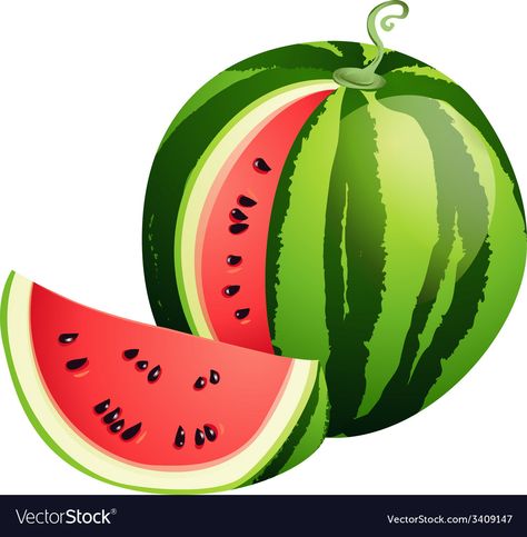 Zebra Print Background, Watermelon Images, Christmas Scandinavian Style, Ripe Watermelon, Watermelon Cartoon, Fruit Art Drawings, Picture Composition, Drawing Lessons For Kids, School Images