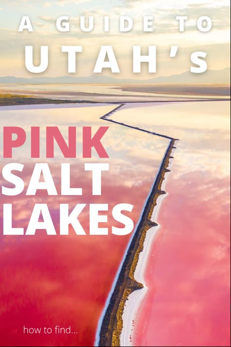 Kayak Salt Flats Utah, Things To Do Near Salt Lake City Utah, Pink Salt Lake Australia, Pink Salt Lake Utah, Utah Salt Lake City, Utah National Parks Road Trip, Utah Vacation, Utah Adventures, Utah Road Trip