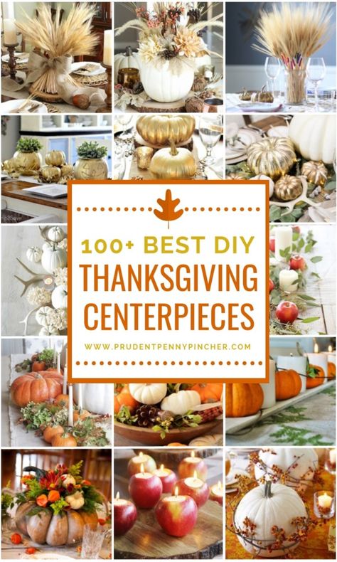 100 Best DIY Thanksgiving Centerpieces #Thanksgiving #ThanksgivingTable #ThanksgivingDecorations #ThanksgivingDinner #ThanksgivingCenterpieces  #Fall #FallCenterpieces #FallDecor #DIY Diy Thanksgiving Centerpieces For Table, Thanksgiving Tablescapes Elegant, Thanksgiving Centerpieces Table, Thanksgiving Table Settings Centerpieces, Beautiful Thanksgiving Table Settings, Thanksgiving Decorations Diy Table, Thanksgiving Table Settings Diy, Diy Thanksgiving Centerpieces, Thanksgiving Table Centerpieces