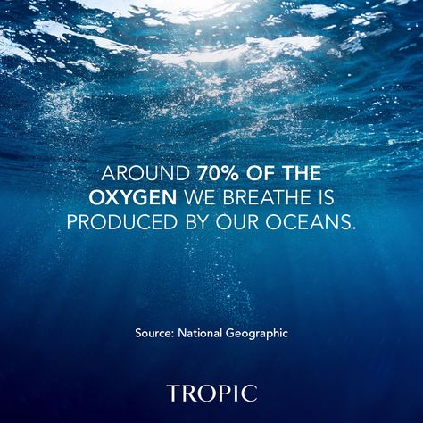 It’s World Oceans Day, a day to recognise the major role our oceans play in everyday life. They are the lungs of our planet (producing the majority of the oxygen we breathe), cover over 70% of the earth’s surface (we’re more ocean than not) and home to vital biodiversity essential to our planet’s life-sustaining functions. But with 50% of coral reefs destroyed and 90% of big fish populations depleted, now more than ever, it’s essential to raise awareness and protect our oceans. From the beauty p Protect Our Oceans, Ocean Quotes Inspirational, Ocean Awareness, Ocean Facts, Career Aesthetic, Ocean Ideas, Smart Cookies, World Oceans Day, Tropic Skincare