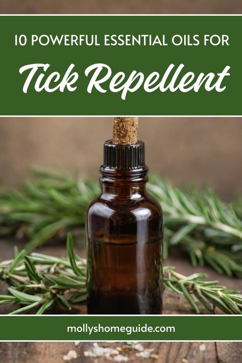 Discover the power of essential oils as natural tick repellents with these homemade recipes. Keep ticks away without harsh chemicals using DIY tick repellent sprays made with essential oils. Protect your family, including kids, from tick bites by making your own bug and tick repellent at home. Learn about the top essential oils that repel bugs and create an all-natural solution to stop ticks in their tracks. Explore different recipes for tick repellent and enjoy outdoor activities worry-free wit Tick Spray Essential Oils, Tick Repellent For Humans, Tick Repellent For Dogs, Natural Tick Repellent, Oil Image, Tick Spray, Top Essential Oils, Tick Repellent, Citronella Essential Oil