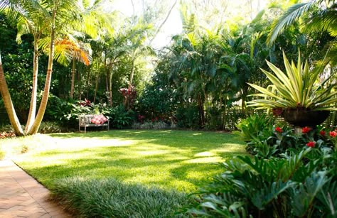 tropical landscaping ideas | services landscape design landscape construction garden maintenance ... Modern Garden Landscaping, Tropical Landscape Design, Tropical Garden Design, Tropical Backyard, Tropical Landscape, Landscape Design Plans, Landscape Services, Landscaping Tips, Garden Landscape Design